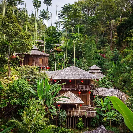Fig Tree Hills Resort-2