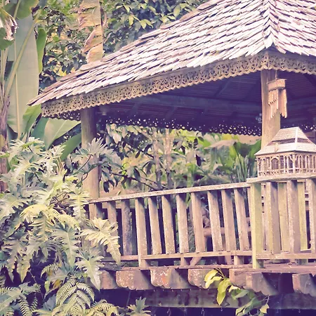 Fig Tree Hills Resort-3